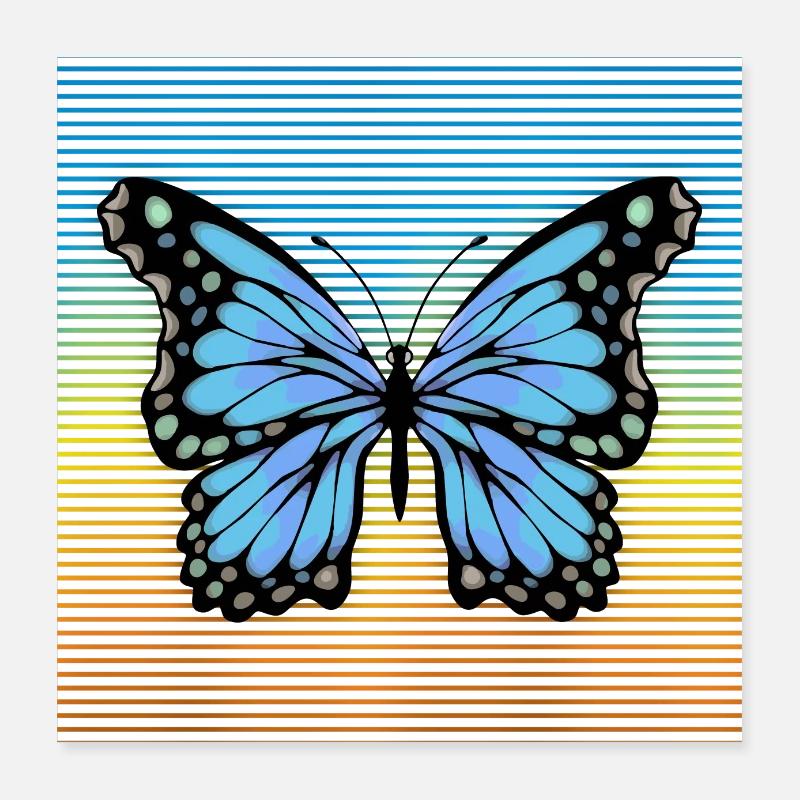 Schmetterling Poster 40x40 cm
