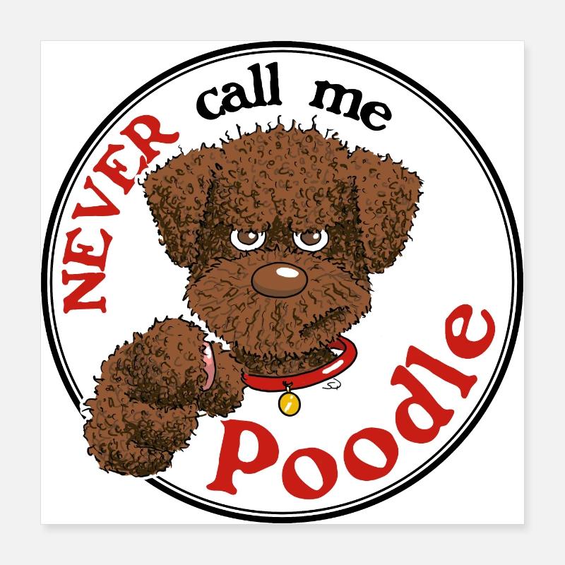 Poodle1 3 Poster 40x40 cm