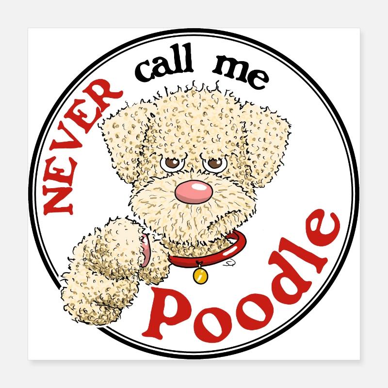 Caniche1 2 Poster 40 x 40 cm