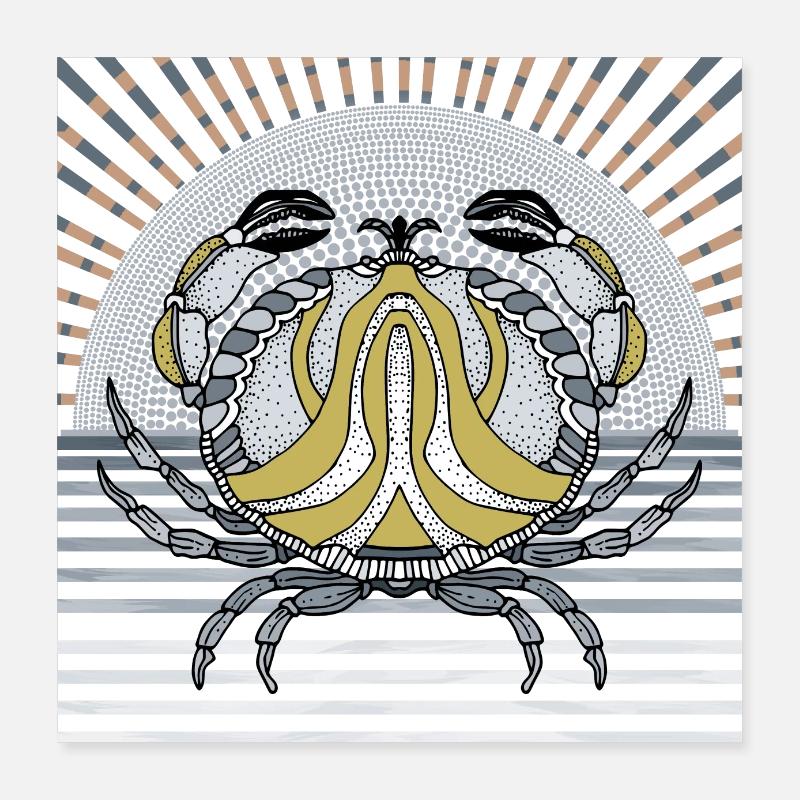 Krabbe Poster 40x40 cm