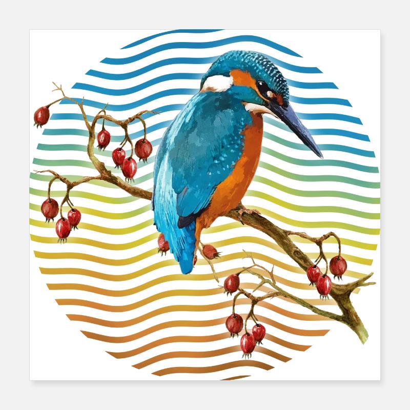 Oiseau coloré Poster 40 x 40 cm