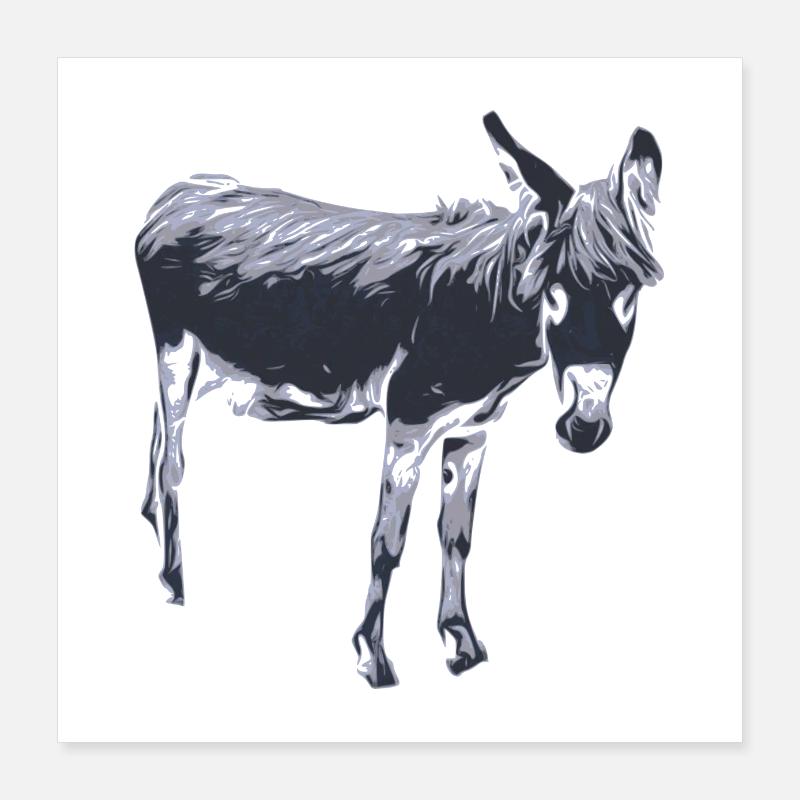 âne Poster 40 x 40 cm