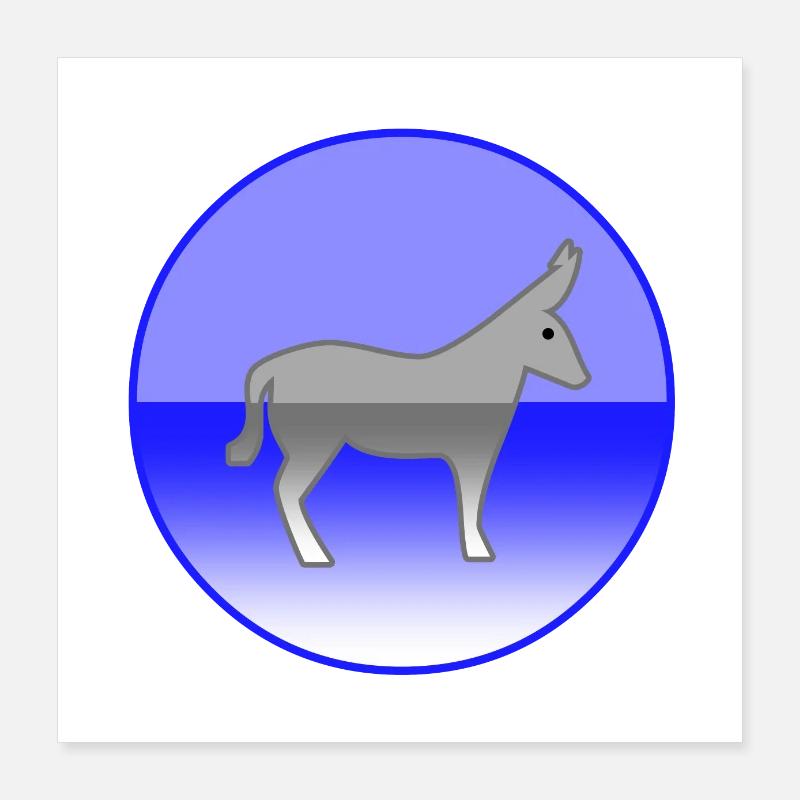 Esel Poster 40x40 cm