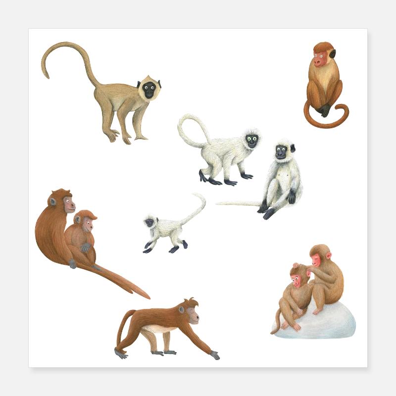 Asian monkeys Poster 16" x 16" (40x40 cm)