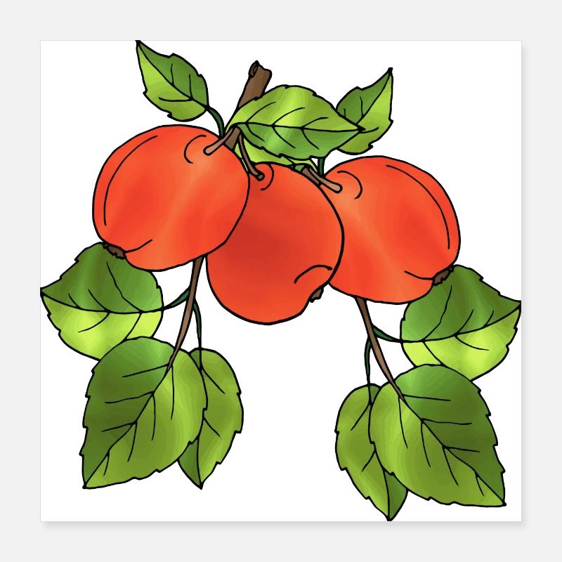 Apples Poster 16" x 16" (40x40 cm)