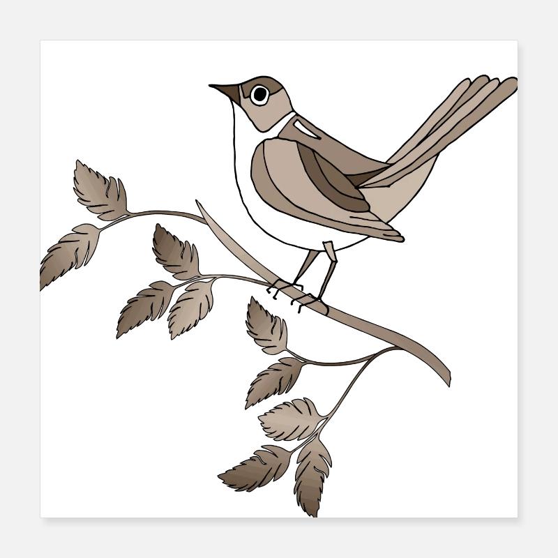 Oiseau Poster 40 x 40 cm