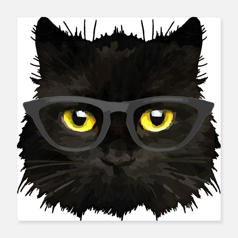 Katze Poster 40x40 cm