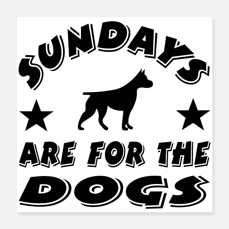 Hunde Poster 40x40 cm