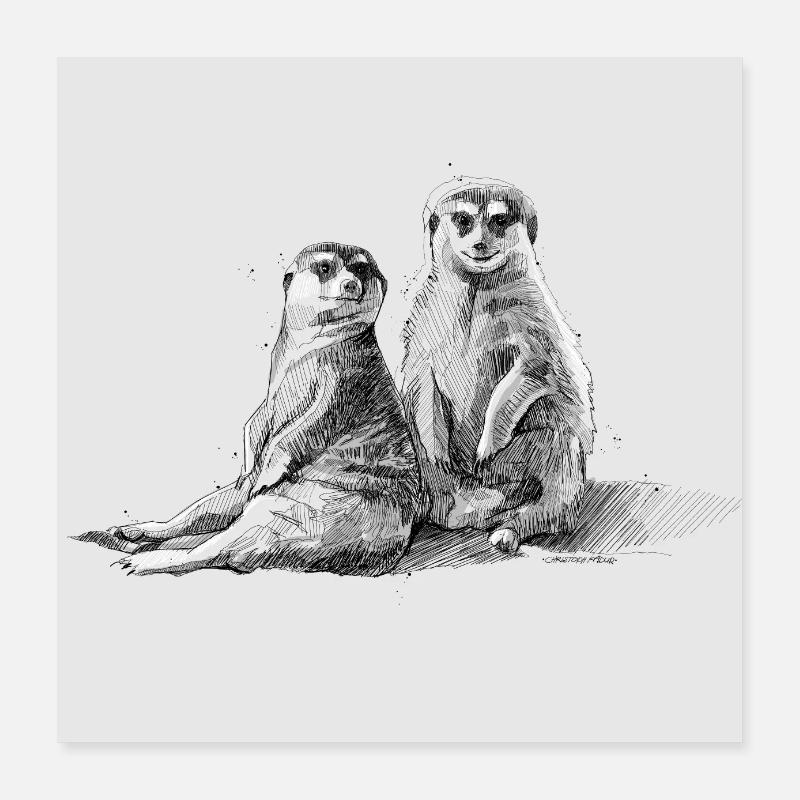 Duo Suricate Poster 40 x 40 cm