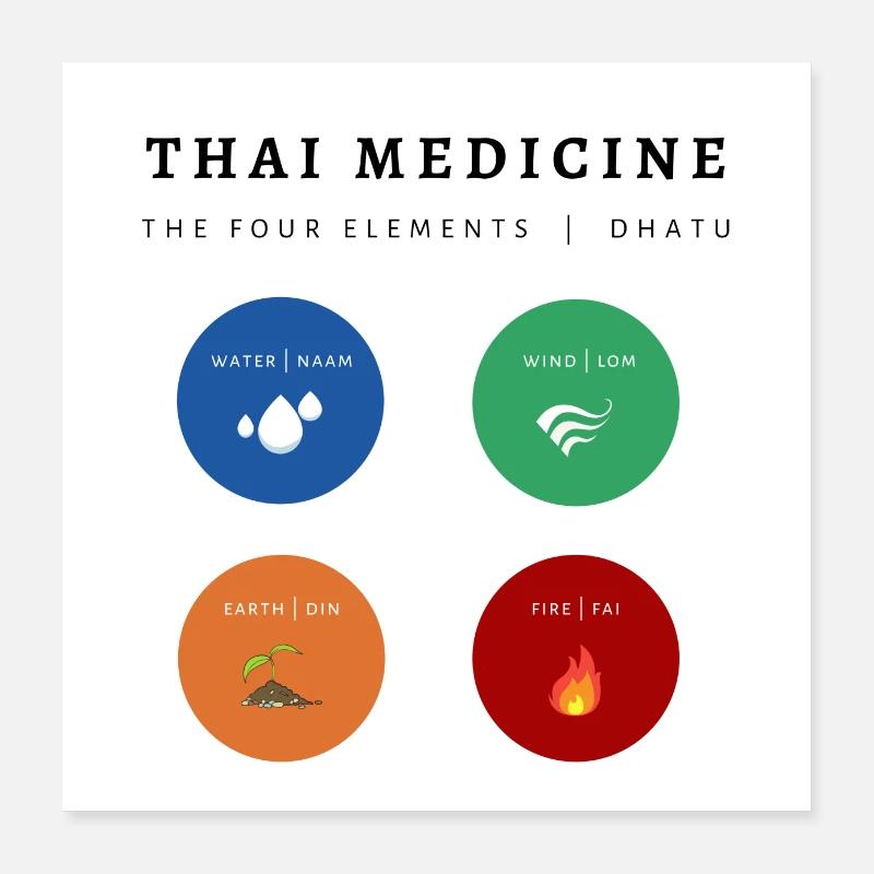 Thai Medicine Poster Poster 16" x 16" (40x40 cm)