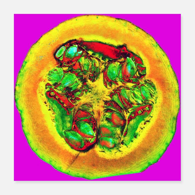 Affiche - Hokkaido Poster 40 x 40 cm