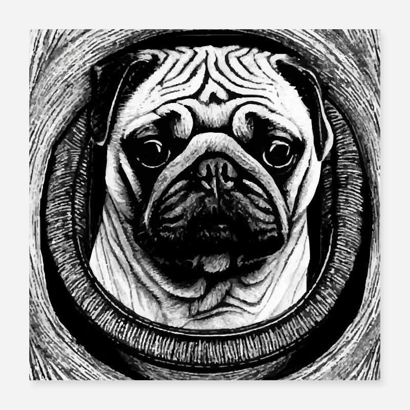 Chiot carlin Poster 40 x 40 cm