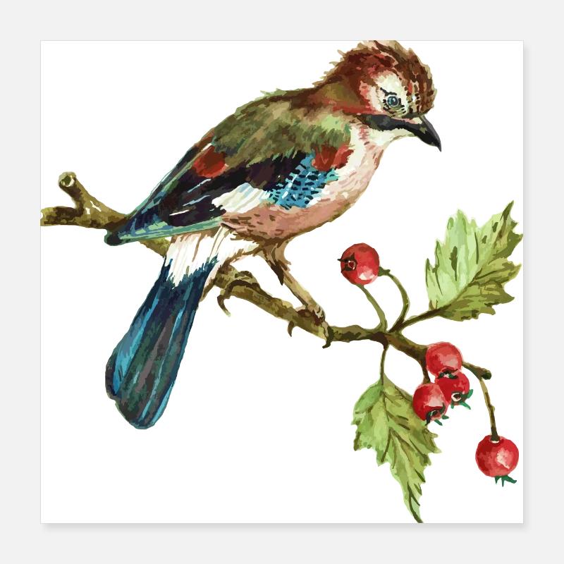 Bunter Vogel Poster 40x40 cm