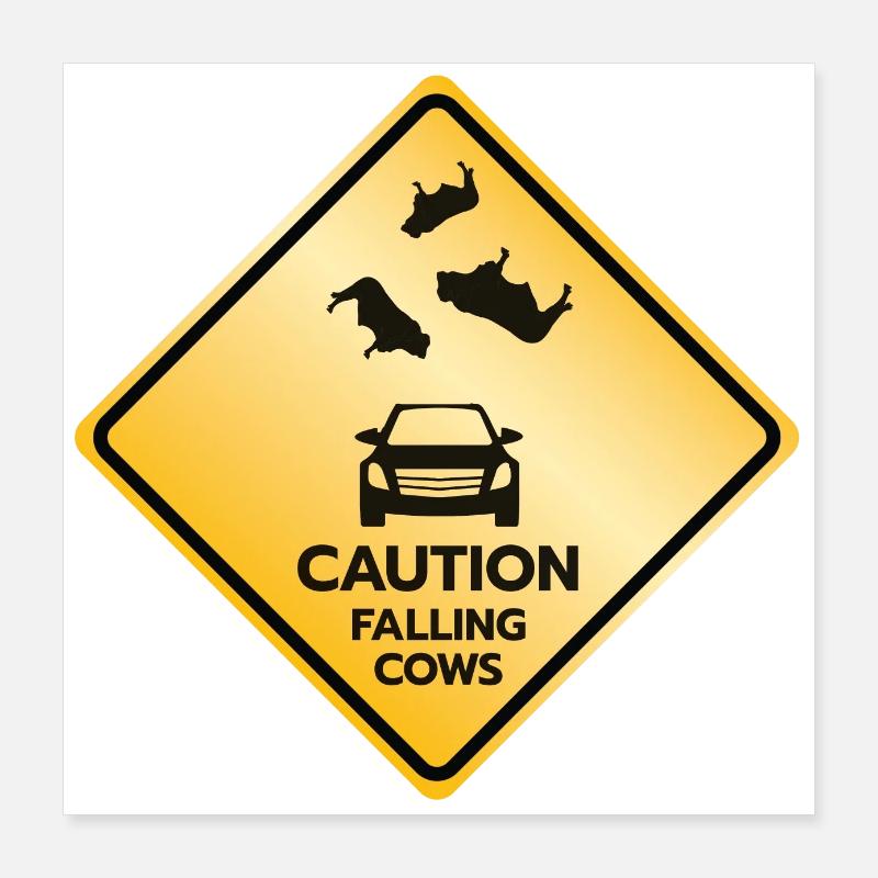 Warnschild fallende Kühe Poster 40x40 cm