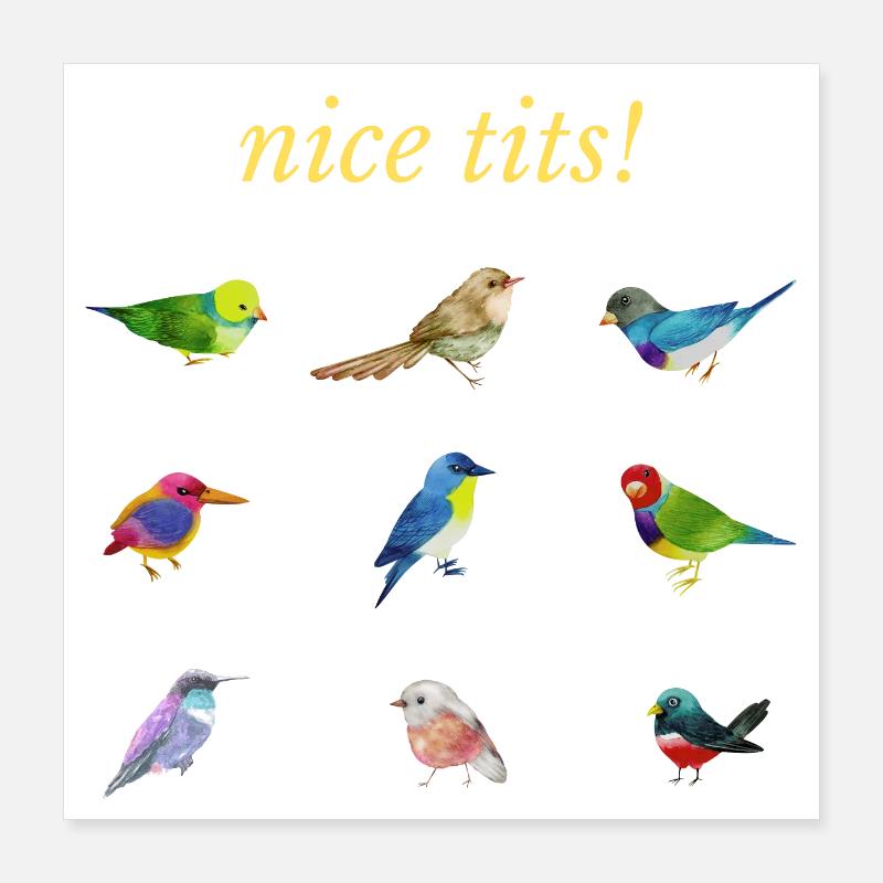 Funny Nice Birds Katalog Poster 40x40 cm