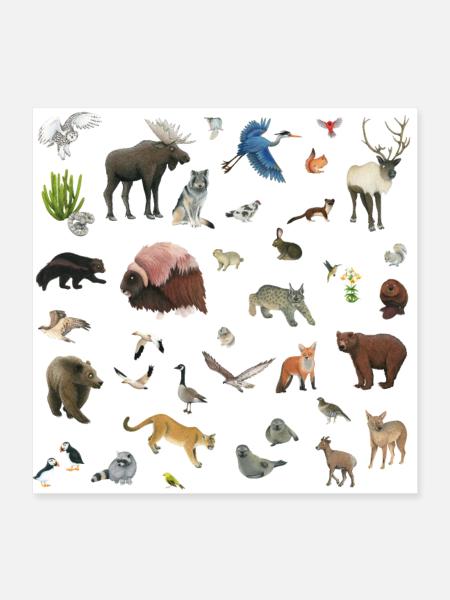 Kanada - Poster 40x40 cm - Weiß