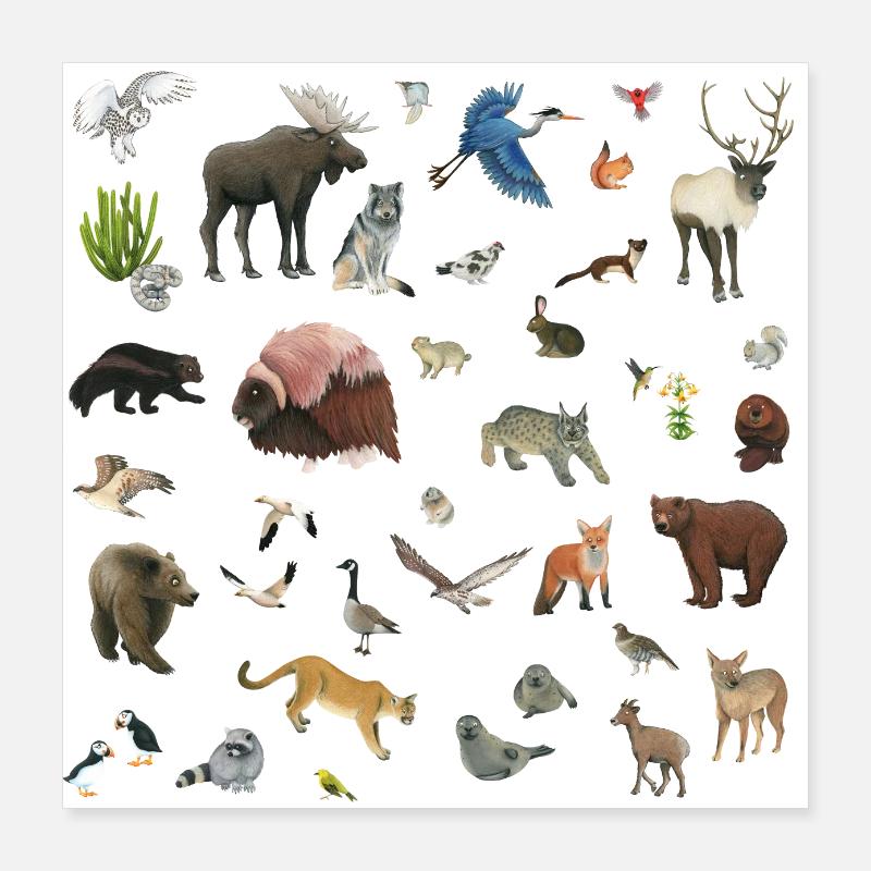 Canada Poster 16" x 16" (40x40 cm)