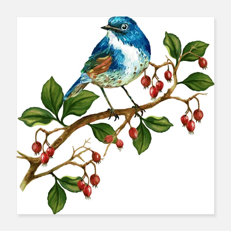 Bunter Vogel Poster 40x40 cm