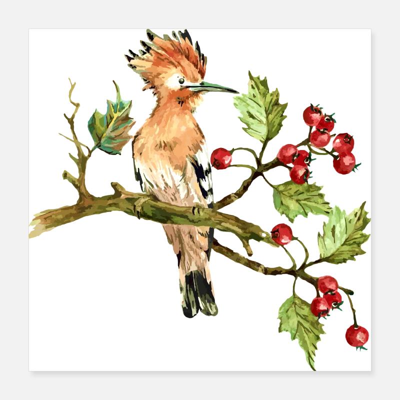 Bunter Vogel Poster 40x40 cm