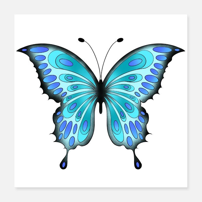Schmetterling Poster 40x40 cm