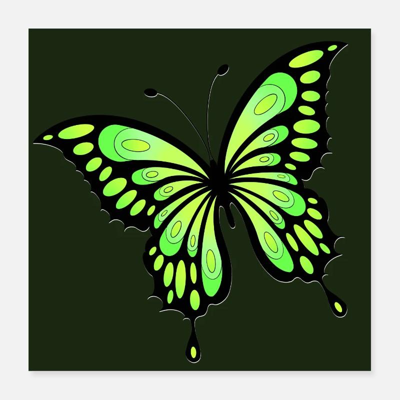 Papillon - Poster 40 x 40 cm - blanc
