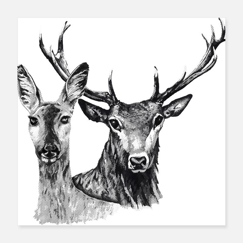 Hirsch und Reh Poster 40x40 cm