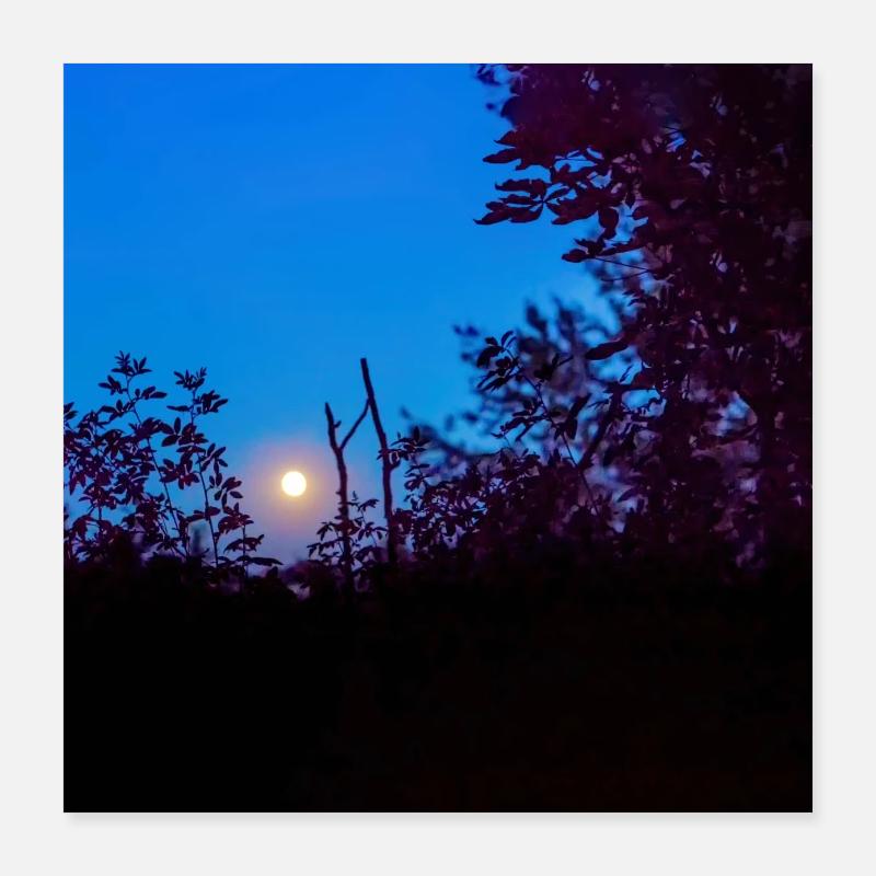 Die Himmelsleiter Poster 40x40 cm