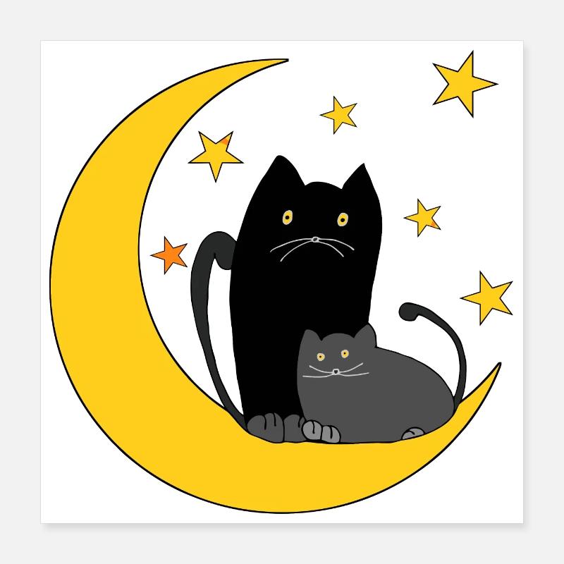 Katzen Poster 40x40 cm