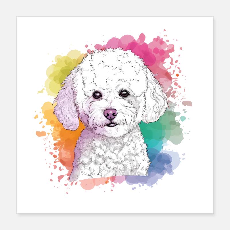 Bichon Frise Poster 16" x 16" (40x40 cm)