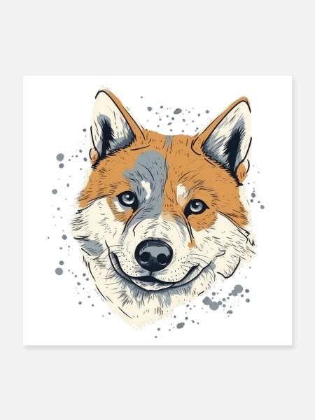 Shiba Inu - Poster 40x40 cm - Weiß