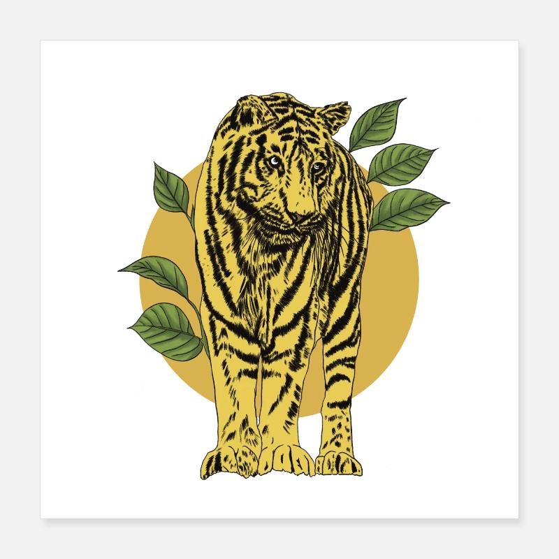 Tigre Poster 40 x 40 cm