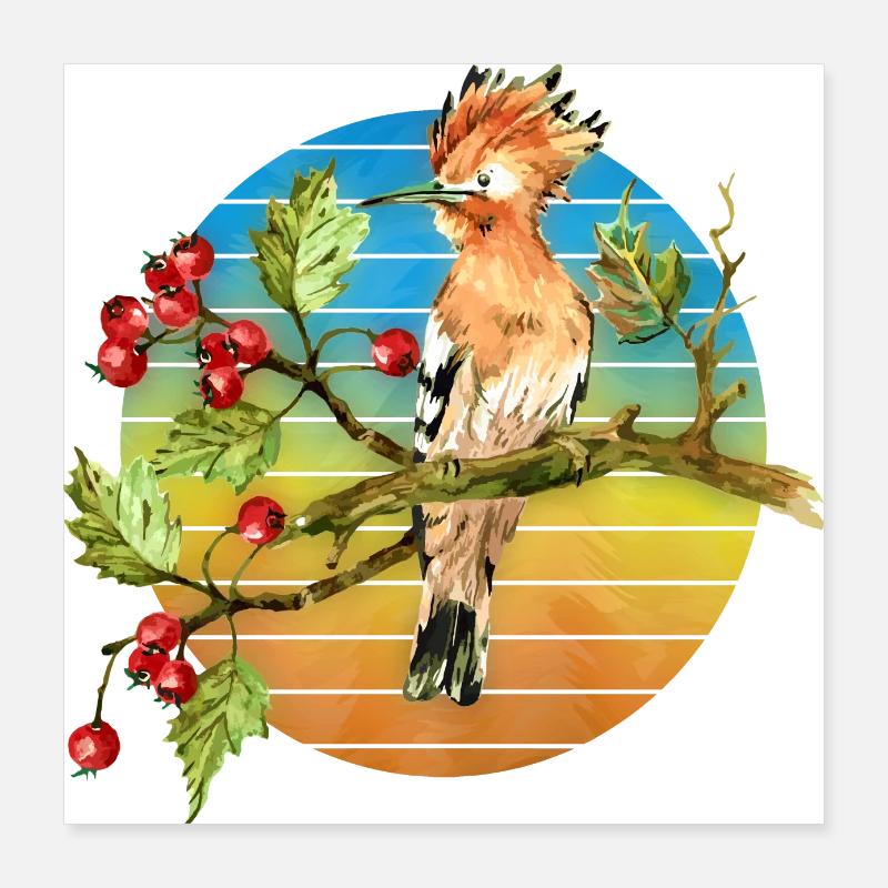 Oiseau coloré Poster 40 x 40 cm