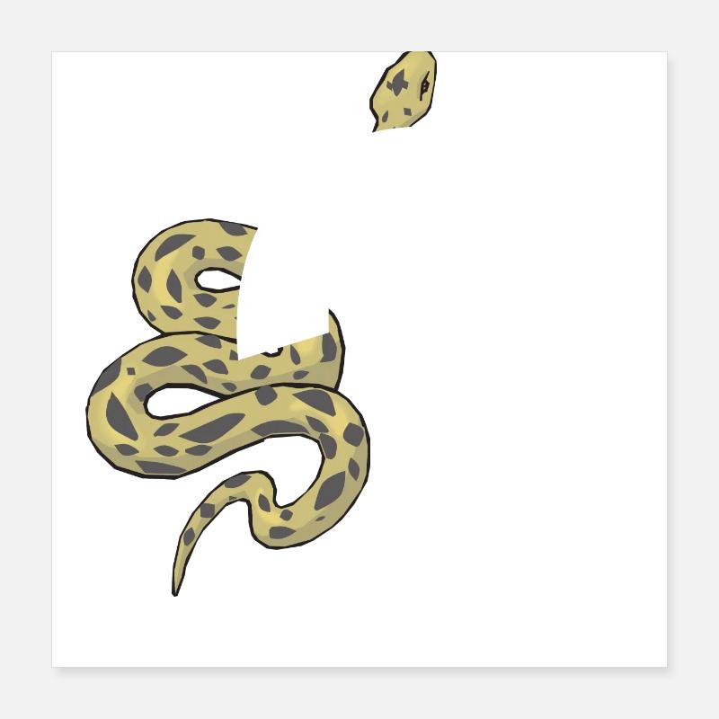 Lettre q serpent Poster 40 x 40 cm