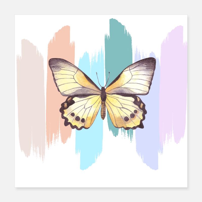 Papillon en arc en ciel Poster 40 x 40 cm