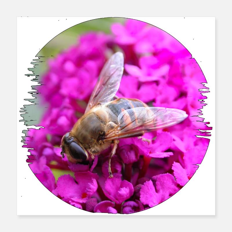 Without insects there is no pollination Poster 16" x 16" (40x40 cm)