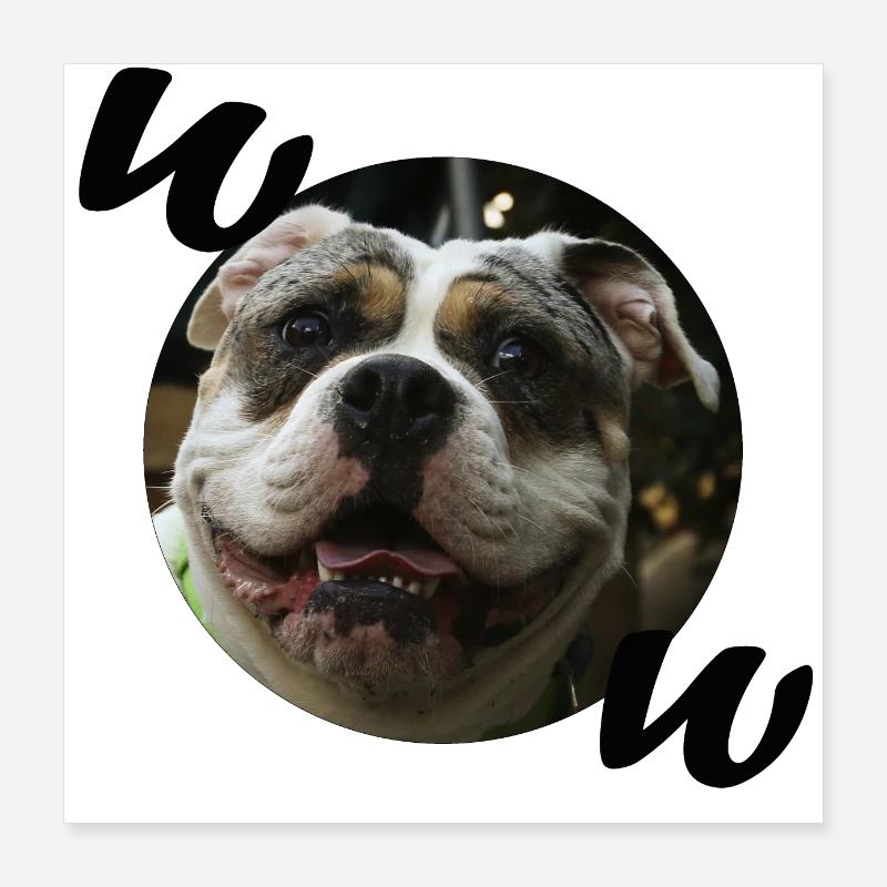Bulldog Poster 16" x 16" (40x40 cm)