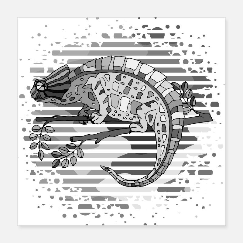 Chamäleon Poster 40x40 cm
