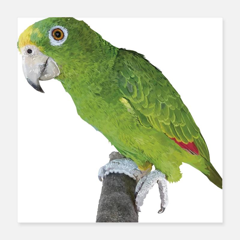 The Amazonian royal parrot Poster 16" x 16" (40x40 cm)