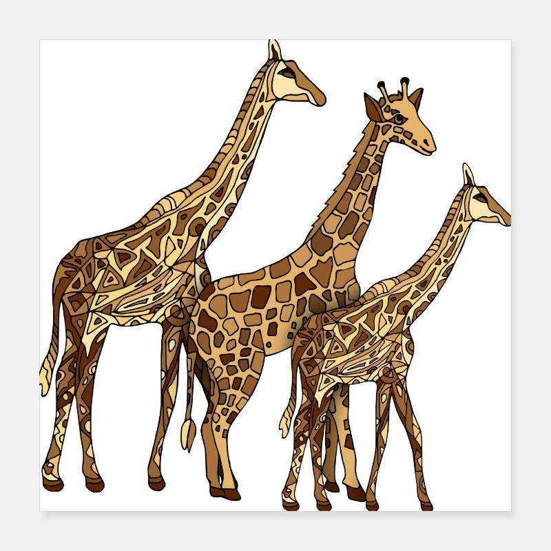Giraffes Poster 16" x 16" (40x40 cm)