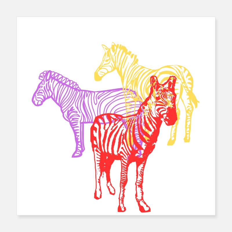 zèbre multicolore Poster 40 x 40 cm
