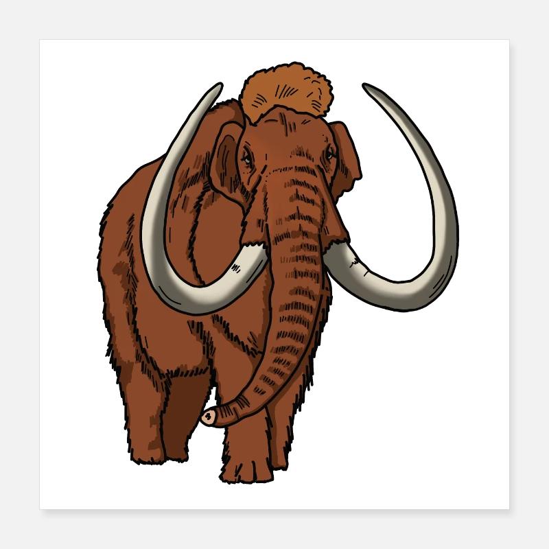 Couleur mammouth Poster 40 x 40 cm