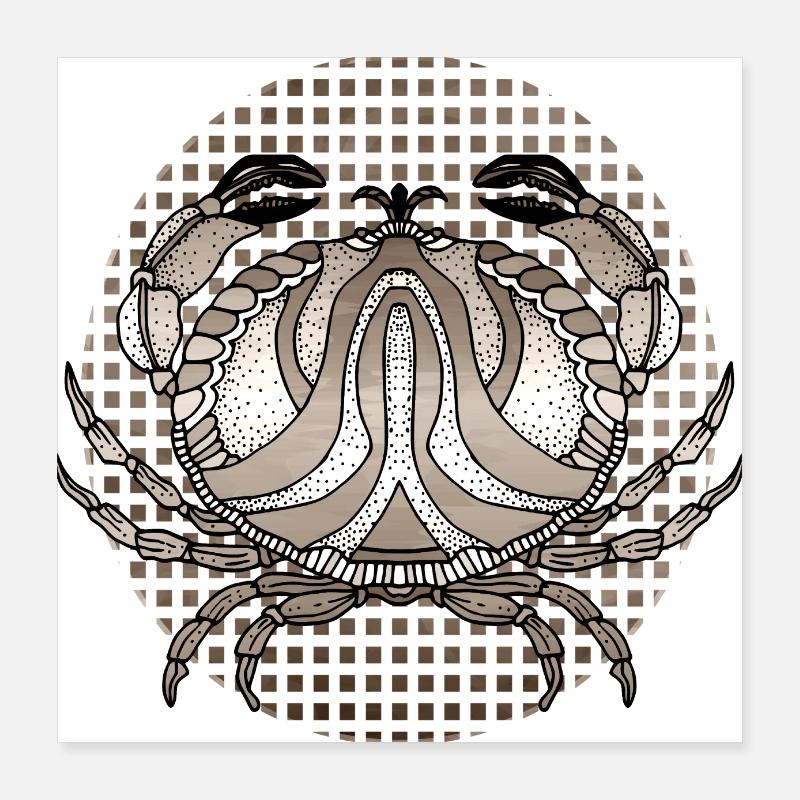 Krabbe Poster 40x40 cm