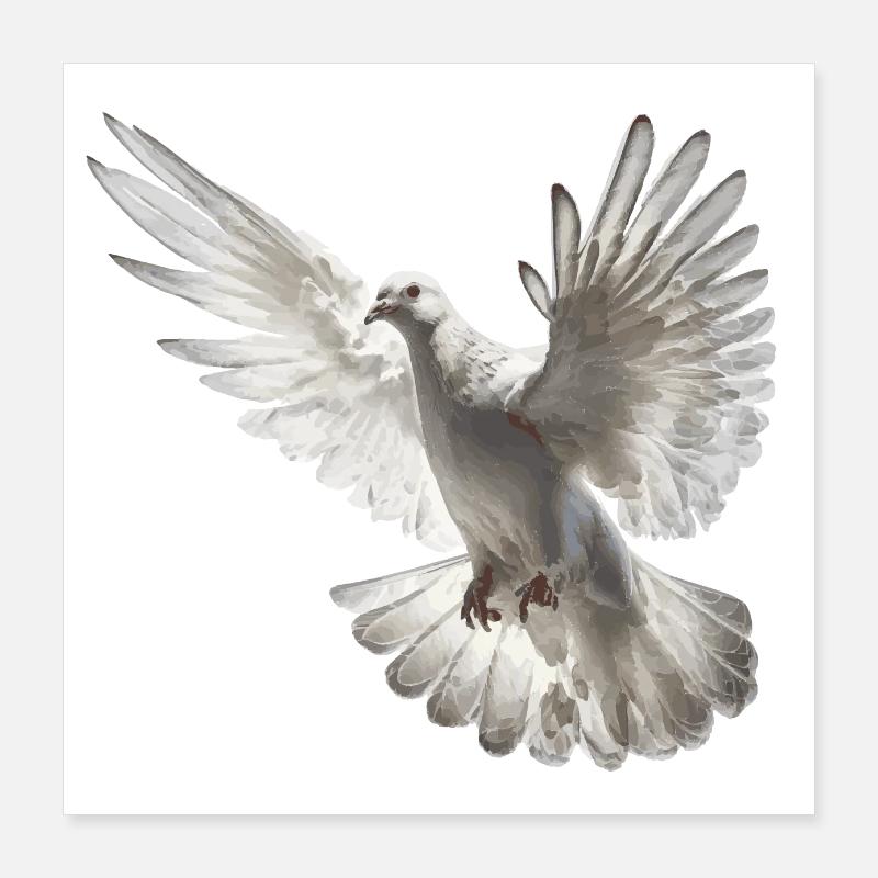 Firedenstaube Geschenk Poster 40x40 cm