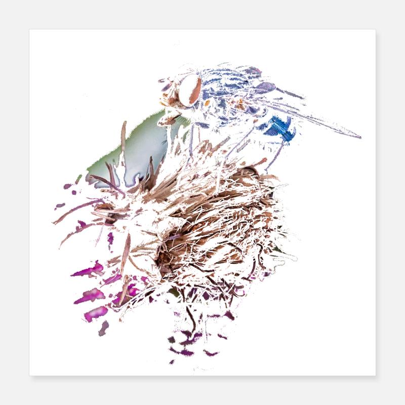 La mouche Poster 40 x 40 cm