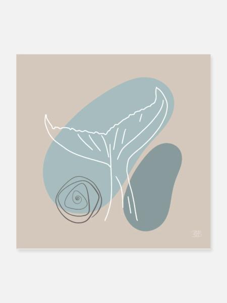 Walflosse - Poster 40x40 cm - Weiß