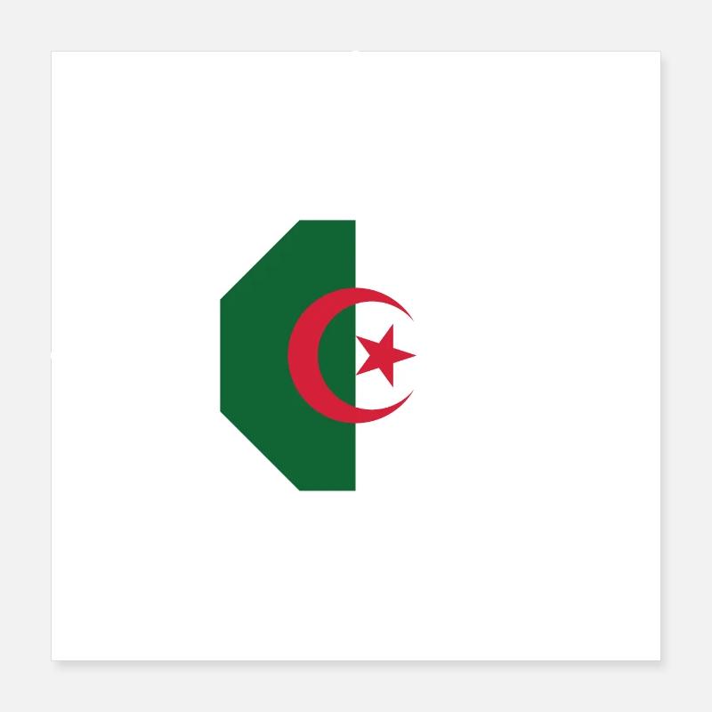Algeria (DZ) Poster 16" x 16" (40x40 cm)