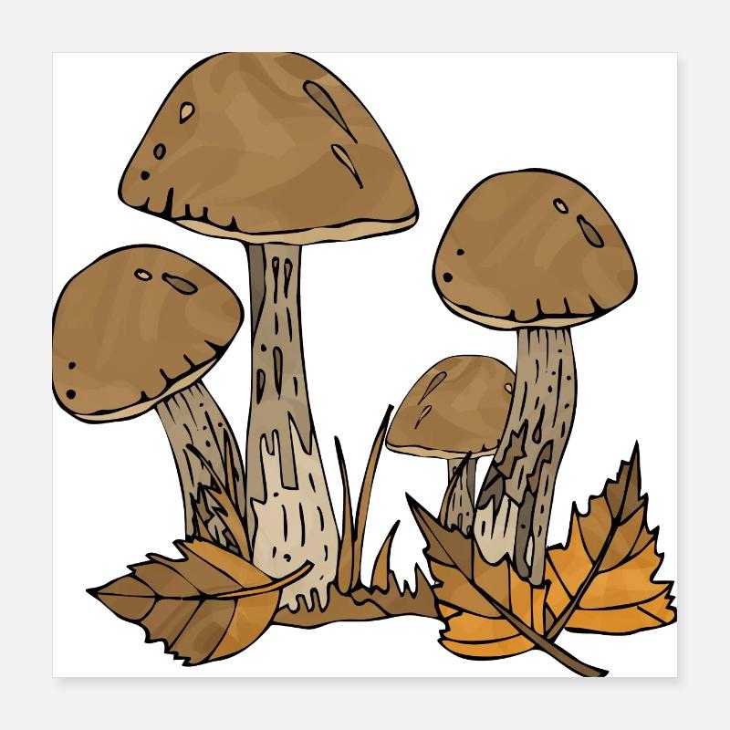 Mycètes Poster 40 x 40 cm
