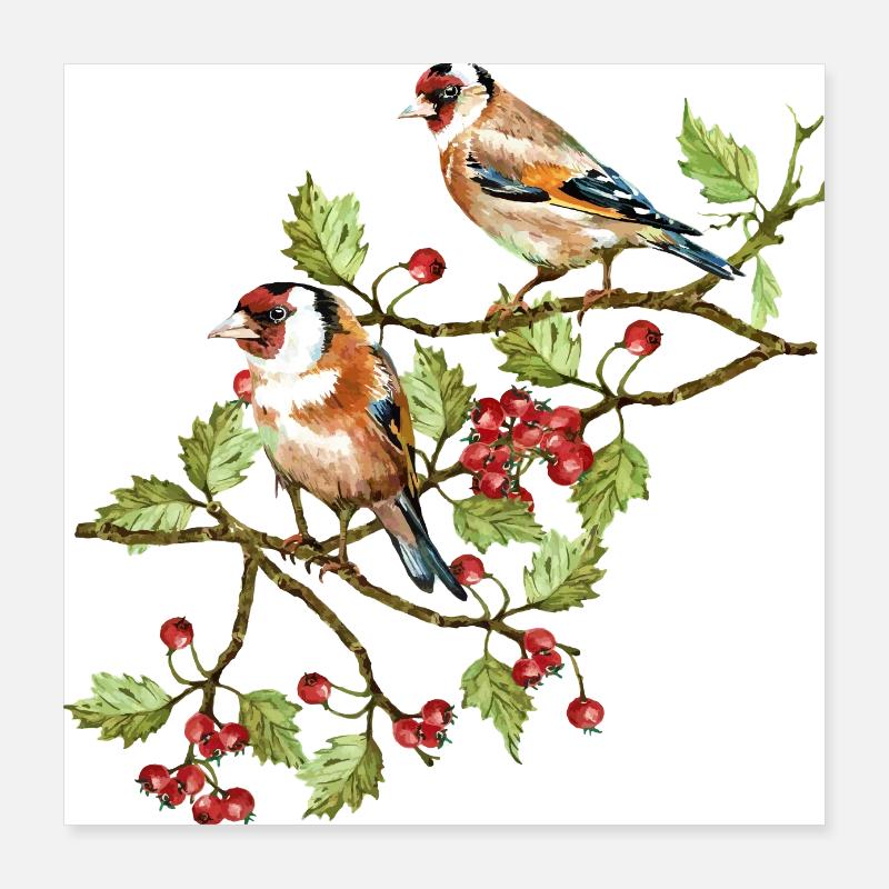 Bunte Vögel Poster 40x40 cm