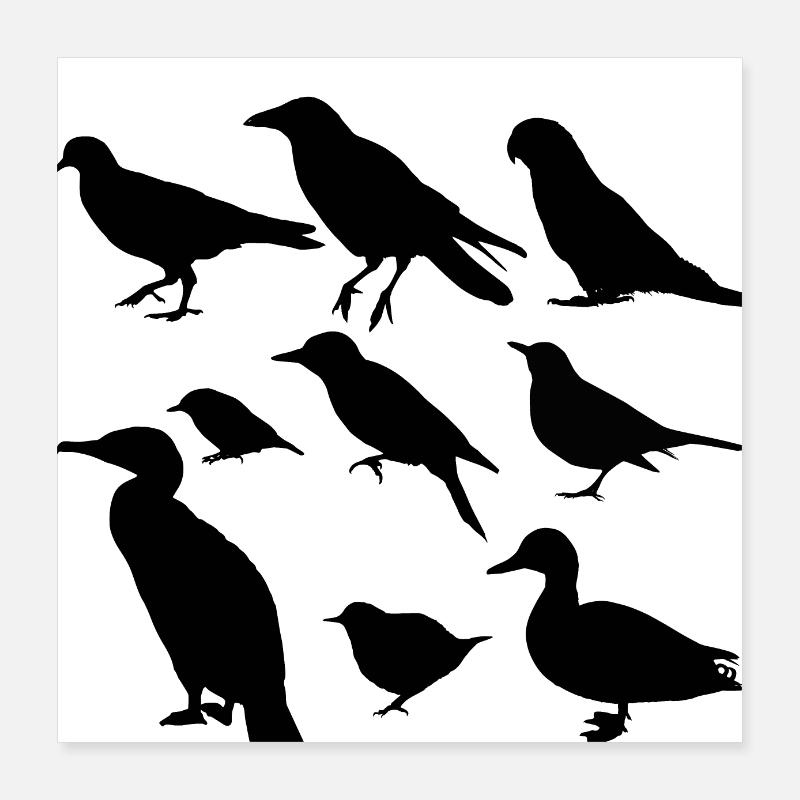 Vögel minimalistisch, Silhouetten Poster 40x40 cm