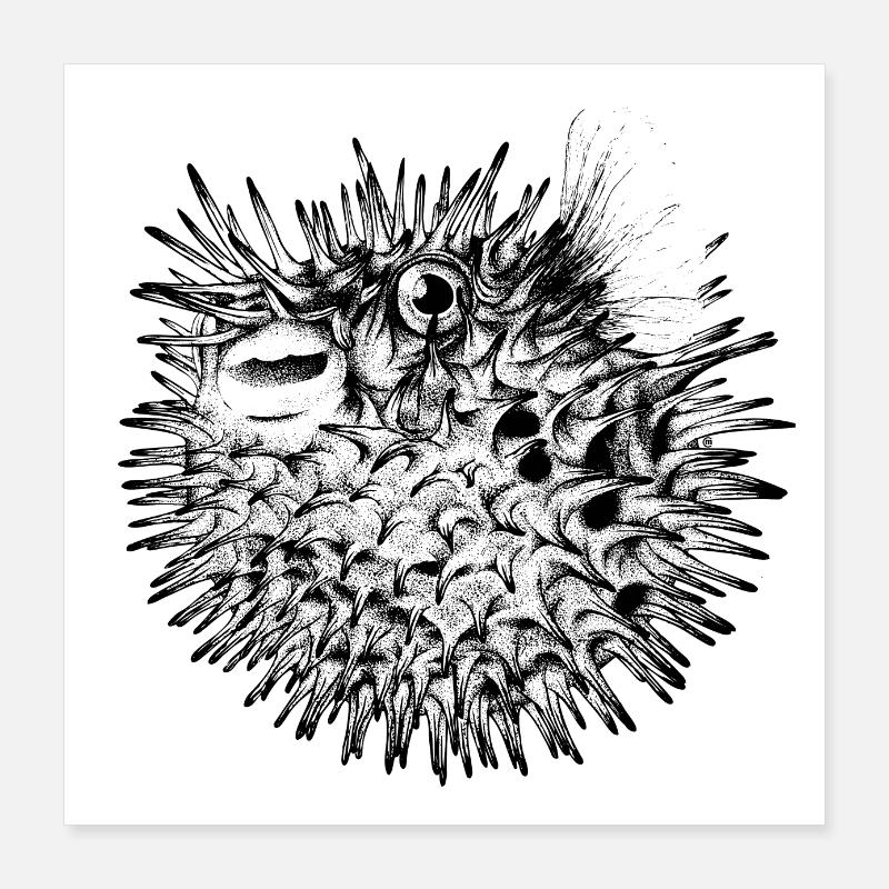 Pesce palla Poster 40x40 cm